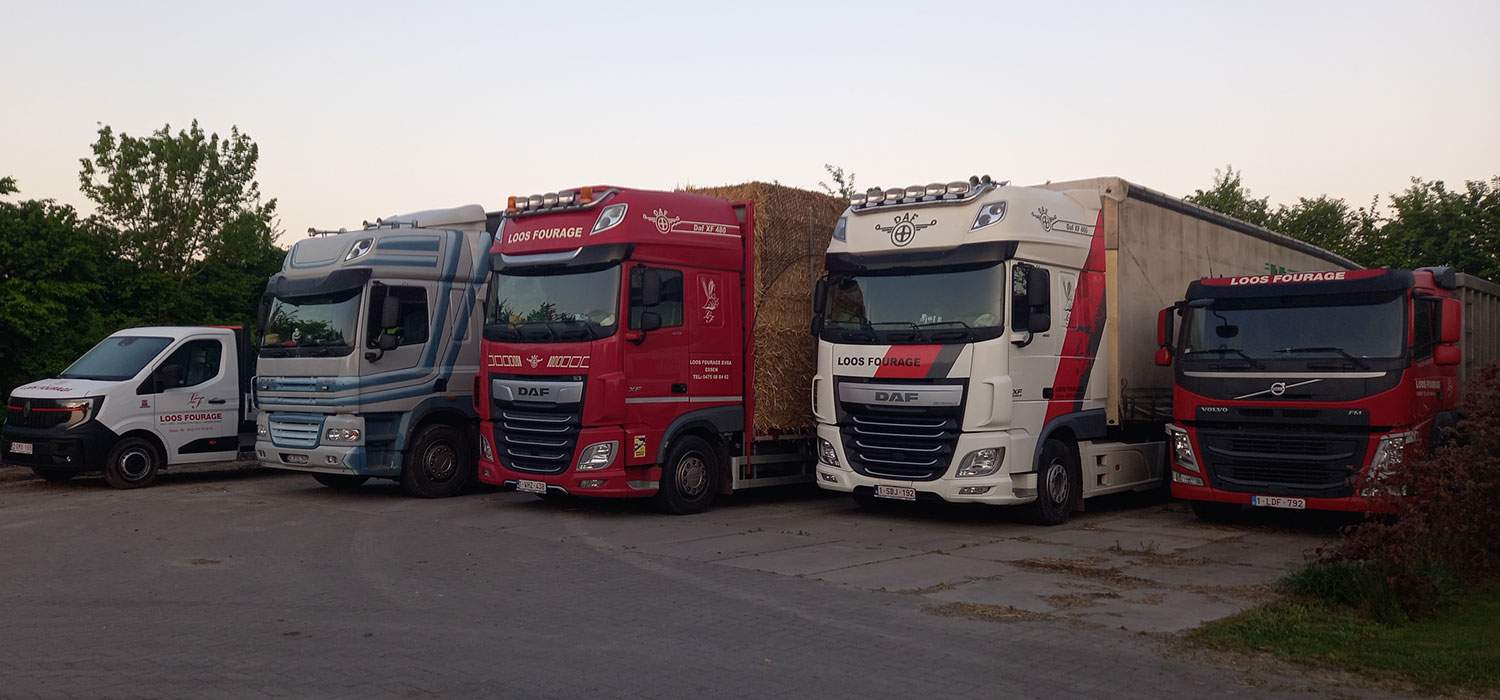 Loos Fourage Essen